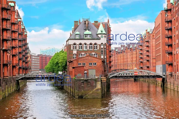  : Waterfront warehouses in the Speicherstadt