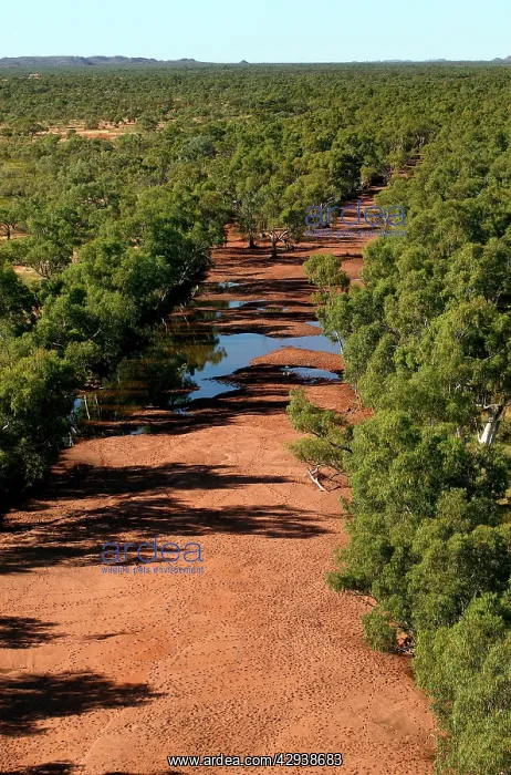 : Waterhole on Wills Creek on Bushy Park Cattle Station : Waterhole on Wills Creek on Bushy Park Cattle Station