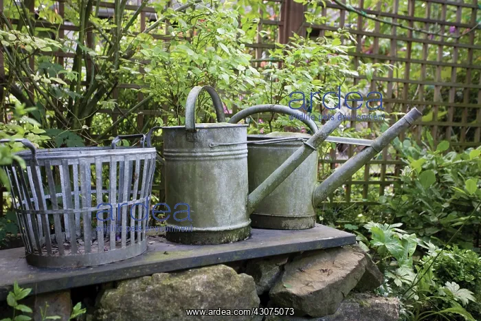 : Watering cans : Watering cans