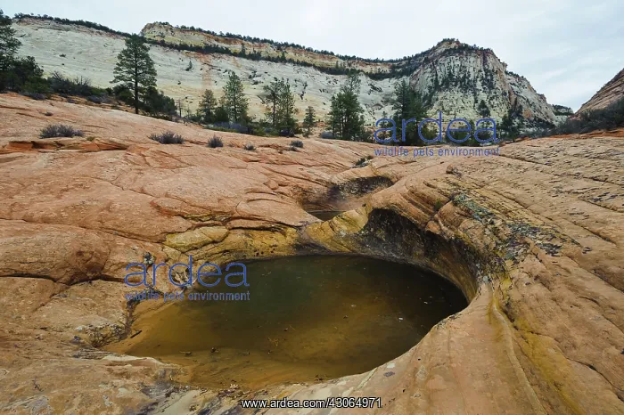 : Waterpocket in Sandstone : Waterpocket in Sandstone