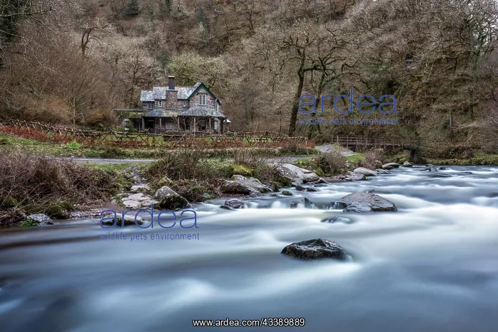 : Watersmeet - Devon - UK : Watersmeet - Devon - UK