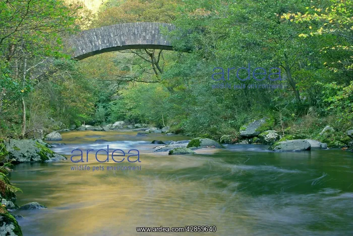 : Watersmeet - historic bridge spanning river with : Watersmeet - historic bridge spanning river with