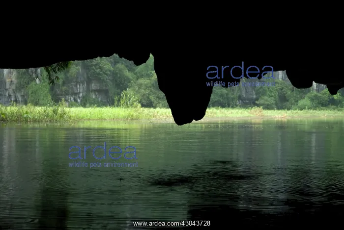 : Waterway in cave : Waterway in cave