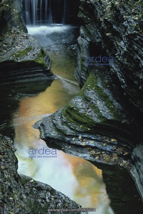 : Watkins Glen State Park, NY : Watkins Glen State Park, NY