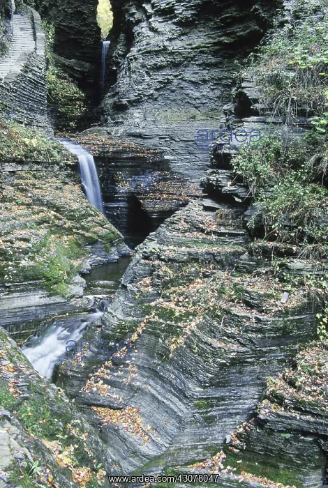: Watkins Glen State Park, NY : Watkins Glen State Park, NY