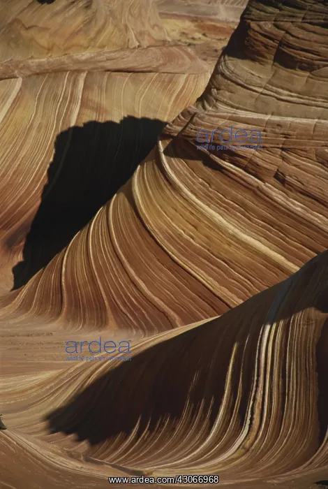 : The Wave, Arizona : The Wave, Arizona