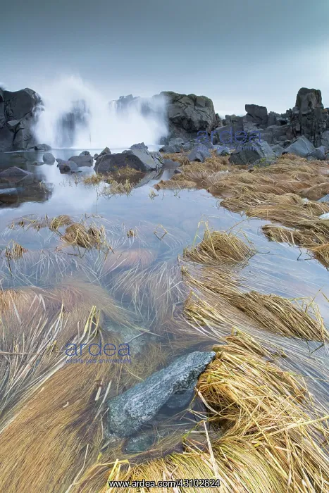 : Wave crushing over the rocks in a tidal pool : Wave crushing over the rocks in a tidal pool
