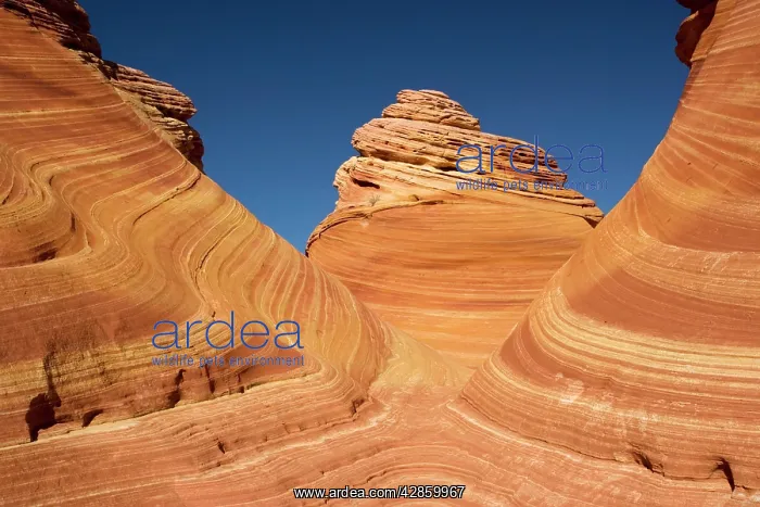  : The Wave - an extraordinary area of sinuous eroded