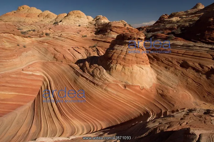 : The Wave - an extraordinary area of sinuous eroded : The Wave - an extraordinary area of sinuous eroded