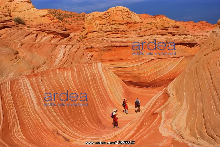 : The Wave - with hikers - carved rock eroded into : The Wave - with hikers - carved rock eroded into