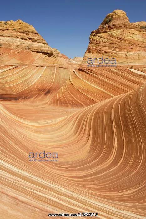 : The Wave, North Coyote Buttes : The Wave, North Coyote Buttes