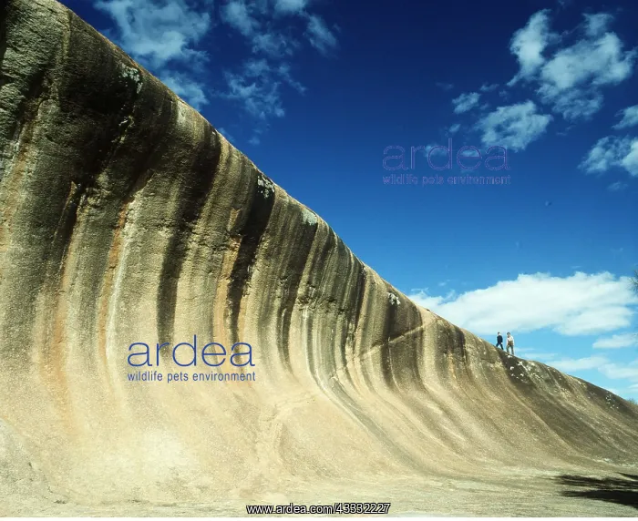 : WAVE ROCK - granite outcrop : WAVE ROCK - granite outcrop