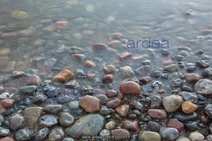 : Wave stones : Wave stones
