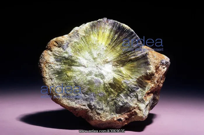 : Wavellite from Hot Springs, Arkansas : Wavellite from Hot Springs, Arkansas