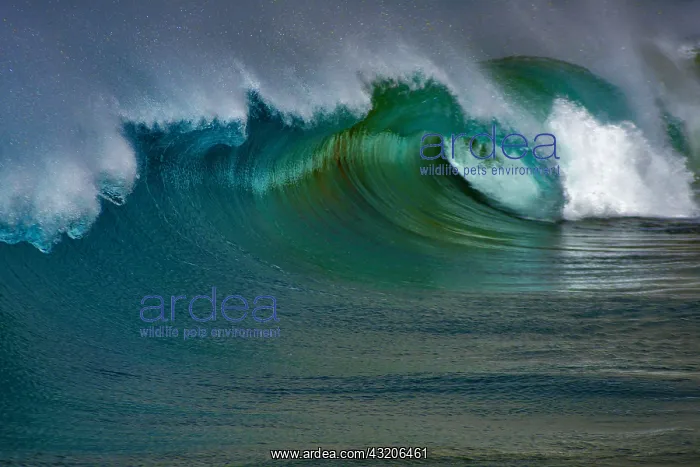 : Waves breaking, Playa de La Tejita, Island of Tenerife : Waves breaking, Playa de La Tejita, Island of Tenerife