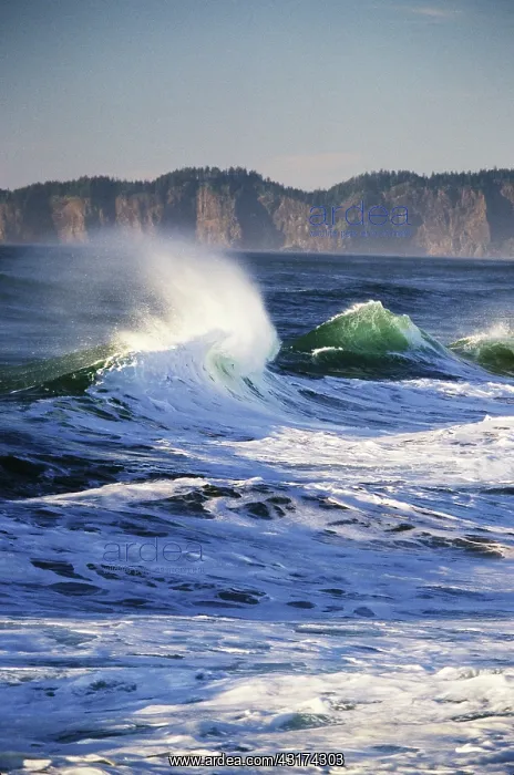 : Waves, Cape Kiwanda, Oregon : Waves, Cape Kiwanda, Oregon