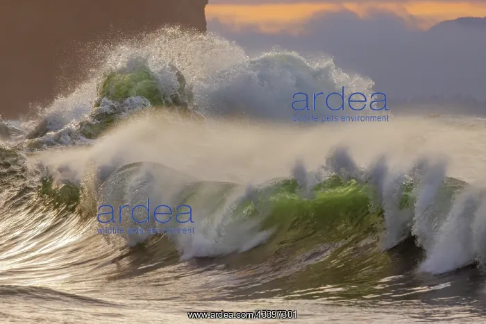 : Waves crash at Cape Disappointment State Park, Washington : Waves crash at Cape Disappointment State Park, Washington