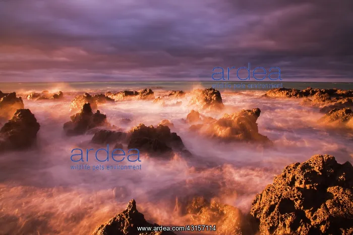 : Waves crash over rocky coastline at sunrise : Waves crash over rocky coastline at sunrise