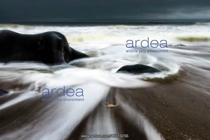  : Waves crashing on the beach