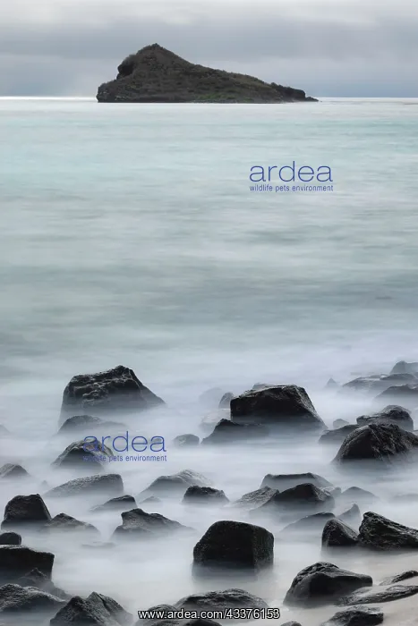 : Waves crashing over lava rocks on shoreline of Espanola : Waves crashing over lava rocks on shoreline of Espanola