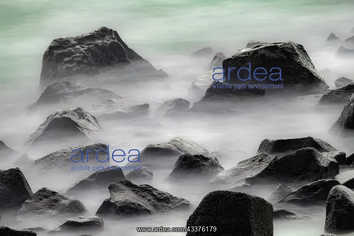 : Waves crashing over lava rocks on shoreline of Espanola : Waves crashing over lava rocks on shoreline of Espanola