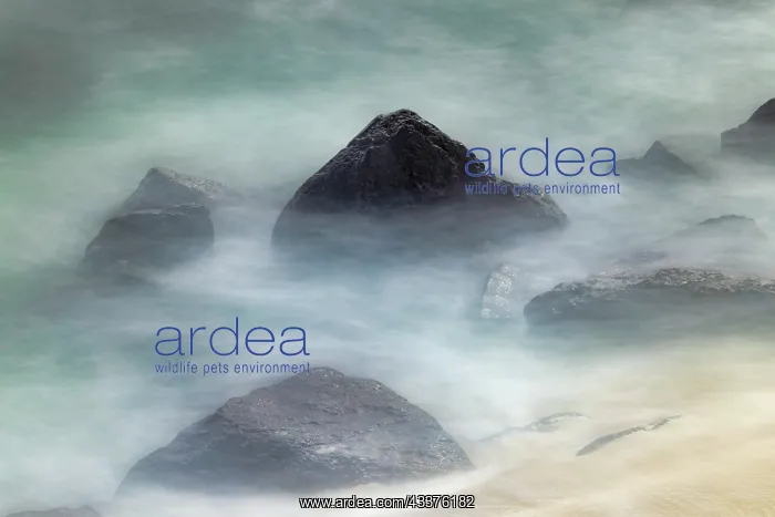 : Waves crashing over lava rocks on shoreline of Espanola : Waves crashing over lava rocks on shoreline of Espanola