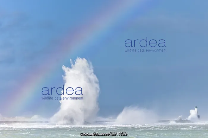 : Waves crashing on the lighthouse of Boulogne sur : Waves crashing on the lighthouse of Boulogne sur
