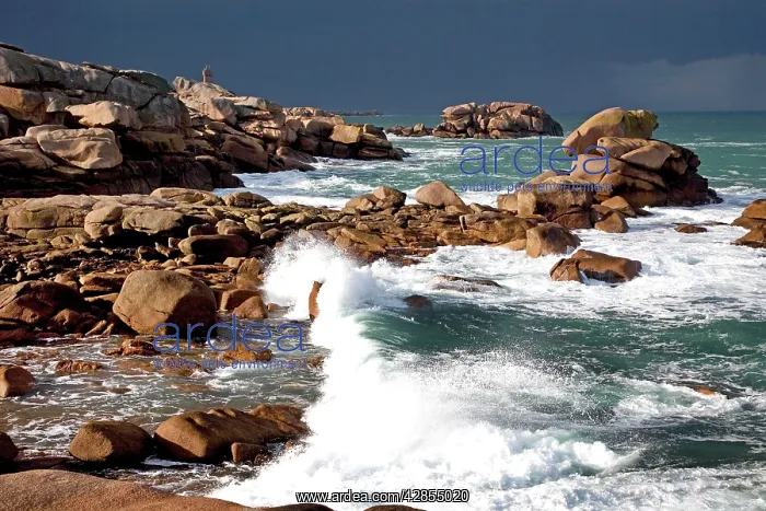 : Waves crashing against rocky coastline : Waves crashing against rocky coastline