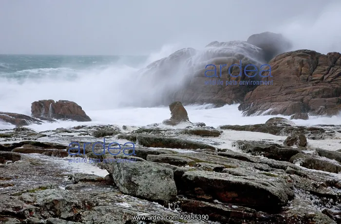 : Waves crashing against rocky coastline : Waves crashing against rocky coastline