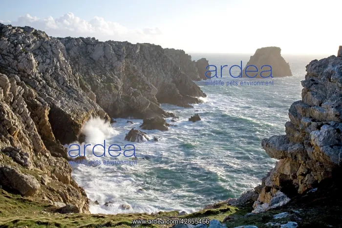 : Waves crashing against rocky coastline : Waves crashing against rocky coastline