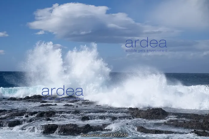  : Waves crashing on rocky shore, Tenerife