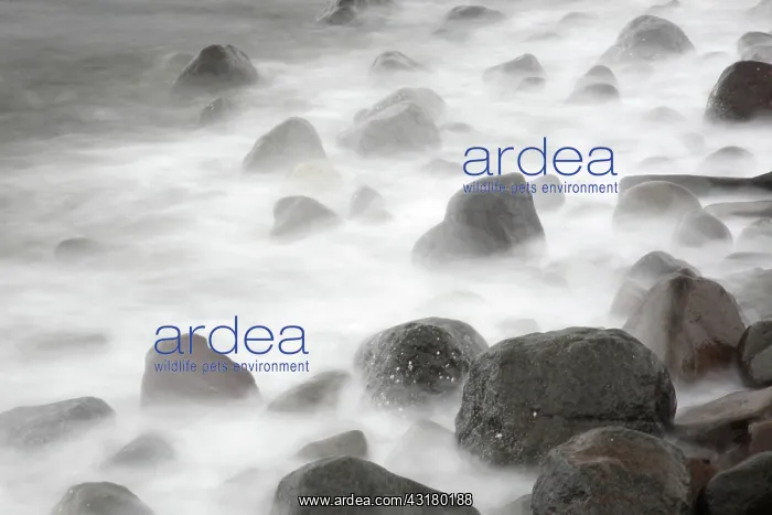 : Waves Hitting the Shore : Waves Hitting the Shore