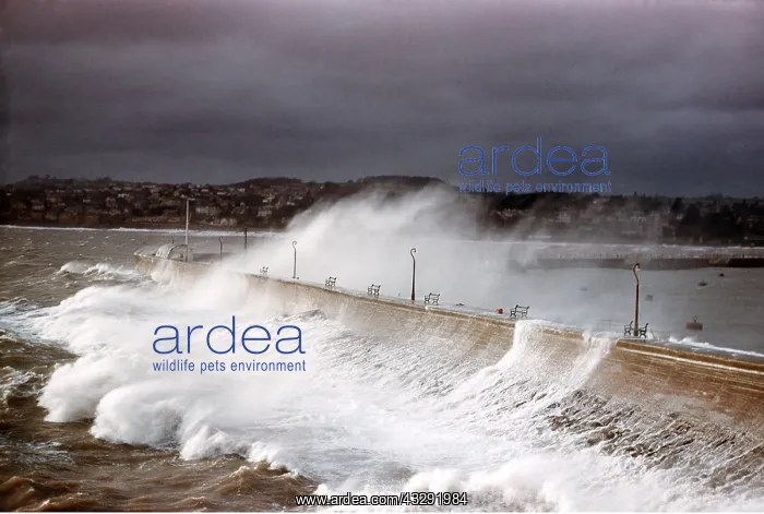 : WAVES - lash coast in Force 9 gale. Haldon pier : WAVES - lash coast in Force 9 gale. Haldon pier