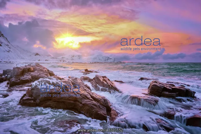 : Waves of Norwegian sea on rocky coast in fjord on : Waves of Norwegian sea on rocky coast in fjord on
