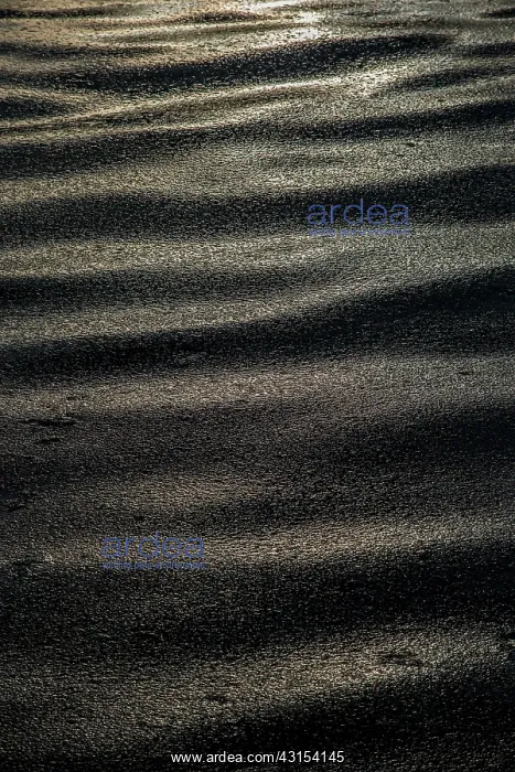 : Waves of pieces of ice, Norway : Waves of pieces of ice, Norway