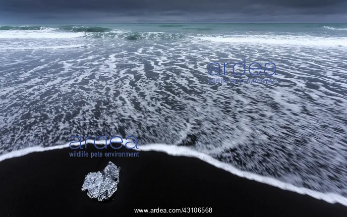 : Waves rolling over the ice cubes on the black lava beach : Waves rolling over the ice cubes on the black lava beach