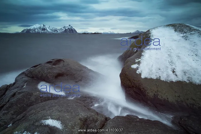  : Waves rolling over the rocks, Norway