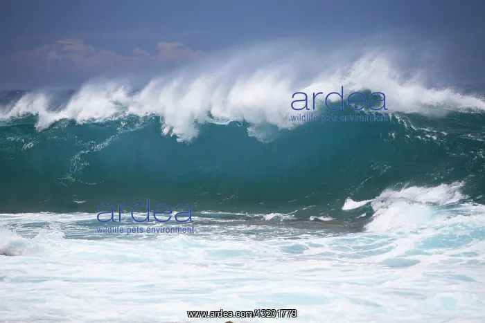 : Waves at South Point, the southernmost point of : Waves at South Point, the southernmost point of