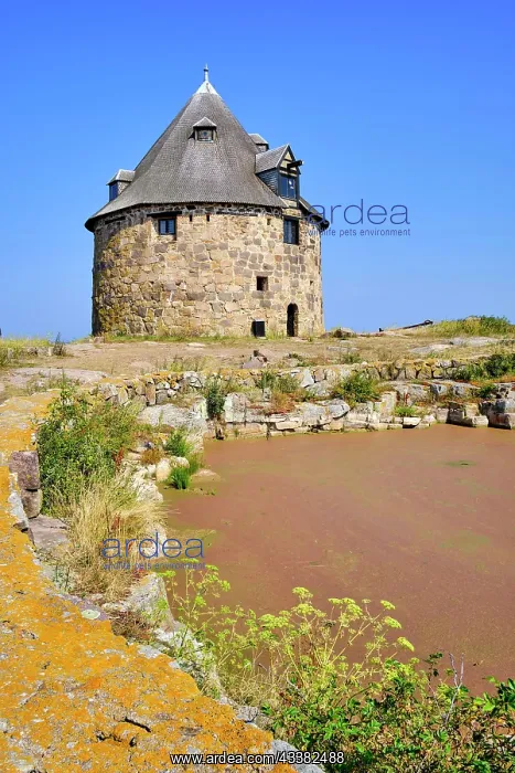 : On the way on the Pea Islands, Small Tower (Lille : On the way on the Pea Islands, Small Tower (Lille