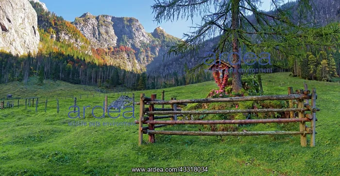 : Wayside cross at Obersee, Berchtesgarden National : Wayside cross at Obersee, Berchtesgarden National
