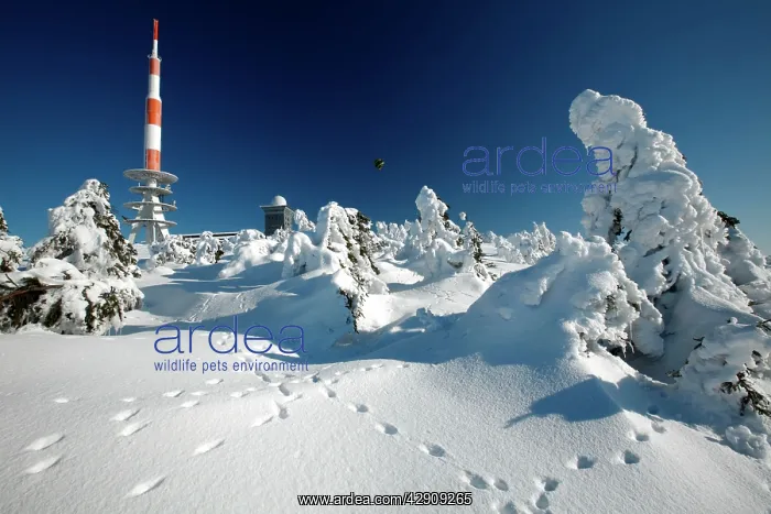: Weather Station and transmitter mast on Brocken : Weather Station and transmitter mast on Brocken