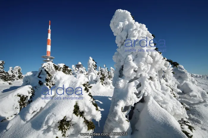 : Weather Station and transmitter mast on Brocken : Weather Station and transmitter mast on Brocken