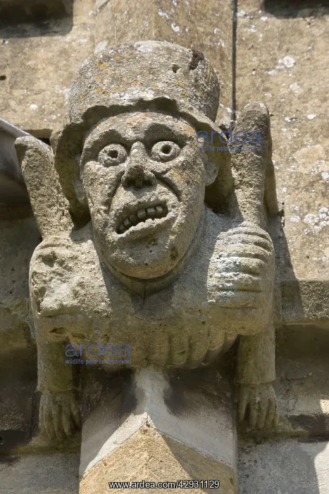 : Weathered gargoyle, St Peter's Church : Weathered gargoyle, St Peter's Church
