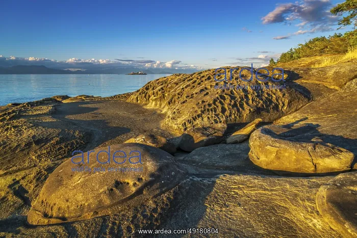 : Weathered sandstone rock formations known as tafoni along the northeast shore of Gabriola Island : Weathered sandstone rock formations known as tafoni along the northeast shore of Gabriola Island
