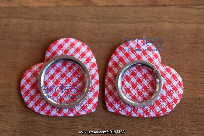 : Wedding rings lying on two red and white checkered : Wedding rings lying on two red and white checkered