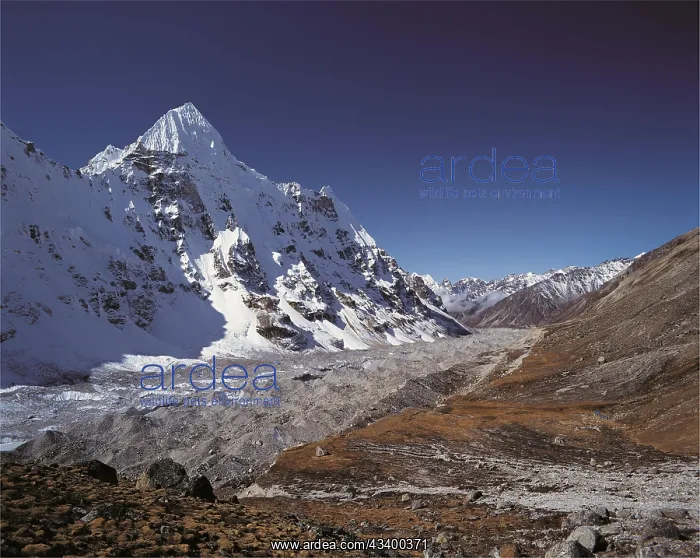 : Wedge Peak and the Kangchenjunga Glacier seen across : Wedge Peak and the Kangchenjunga Glacier seen across
