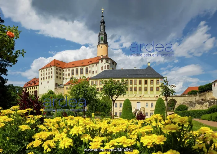 : Weesenstein Castle rises on a rocky outcrop of nodular : Weesenstein Castle rises on a rocky outcrop of nodular