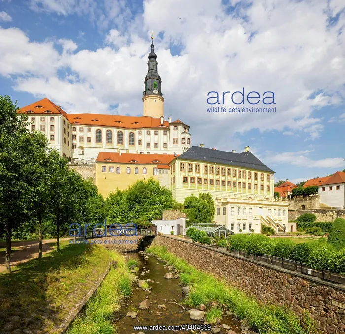 : Weesenstein Castle rises on a rocky outcrop of nodular : Weesenstein Castle rises on a rocky outcrop of nodular