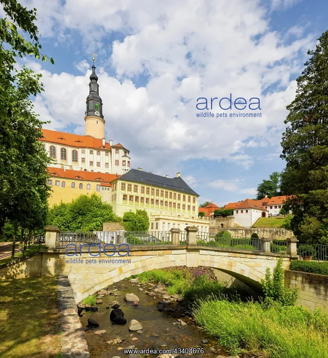: Weesenstein Castle rises on a rocky outcrop of nodular : Weesenstein Castle rises on a rocky outcrop of nodular