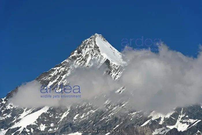 : Weisshorn summit with snow and clouds, Valais Alps : Weisshorn summit with snow and clouds, Valais Alps
